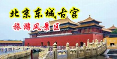 大鸡巴内射女孩吹潮视频中国北京-东城古宫旅游风景区